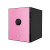 Phoenix Spectrum LS6001EP Luxury Fire Safe with Pink Door Panel and Electronic Lock 0