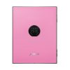 Phoenix Spectrum LS6001EP Luxury Fire Safe with Pink Door Panel and Electronic Lock 1