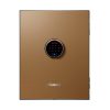 Phoenix Spectrum Plus LS6011FG Size 1 Luxury Fire Safe with Gold Door Panel and Electronic Lock 1