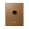 Phoenix Spectrum Plus LS6012FG Size 2 Luxury Fire Safe with Gold Door Panel and Electronic Lock 1
