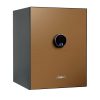 Phoenix Spectrum Plus LS6012FG Size 2 Luxury Fire Safe with Gold Door Panel and Electronic Lock 2